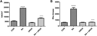 New Kid on the Block: The Efficacy of Phytomedicine Extracts Urox® in Reducing Overactive Bladder Symptoms in Rats